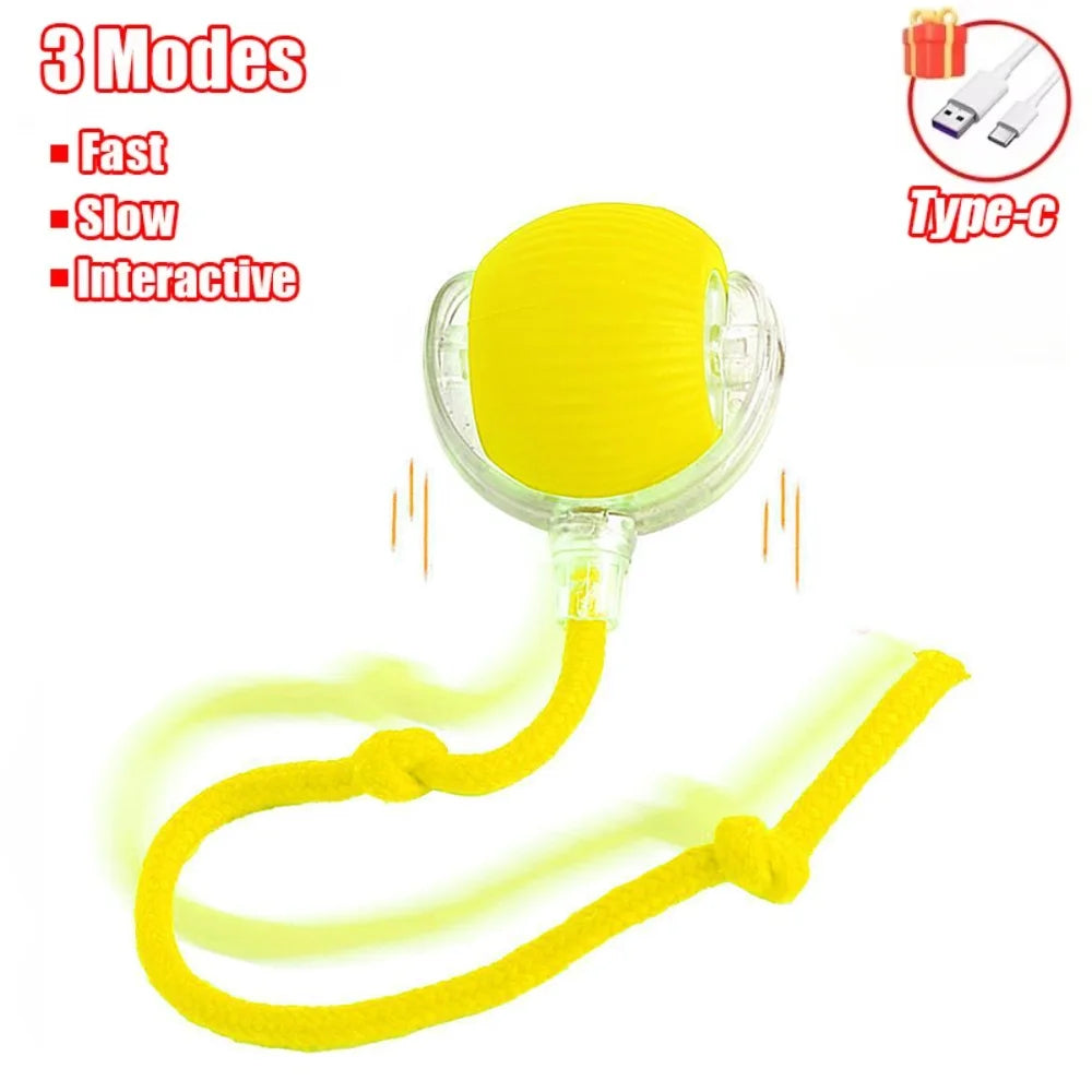 Automatic Rolling Ball Toy for Cats
