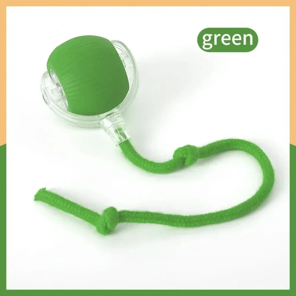 Automatic Rolling Ball Toy for Cats
