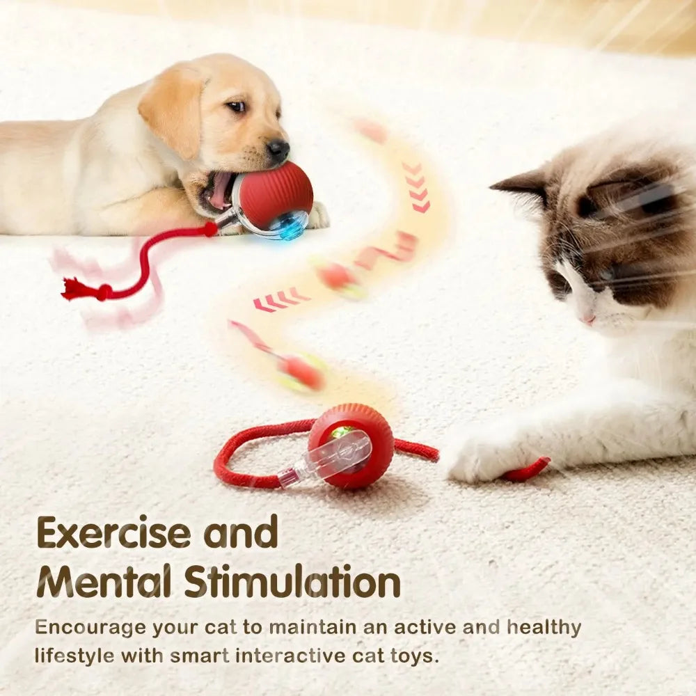 Automatic Rolling Ball Toy for Cats