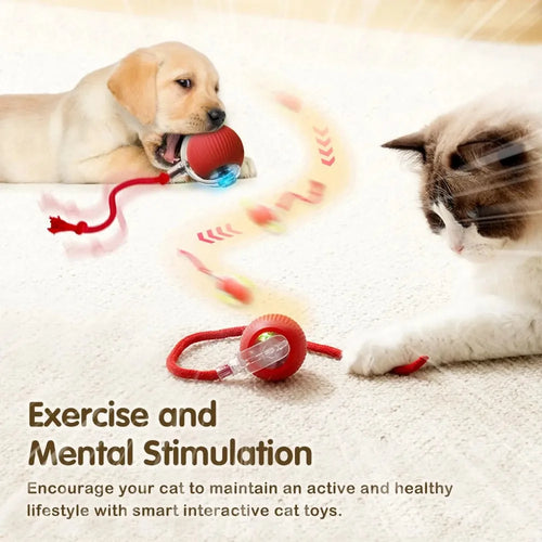 Automatic Rolling Ball Toy for Cats