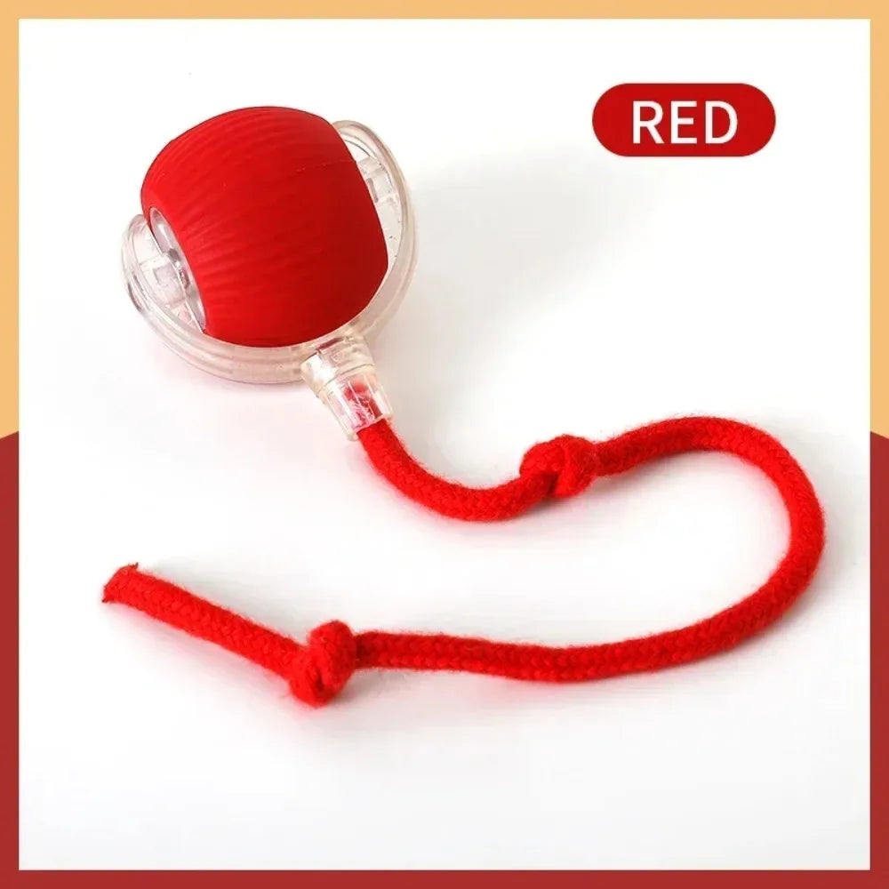 Automatic Rolling Ball Toy for Cats