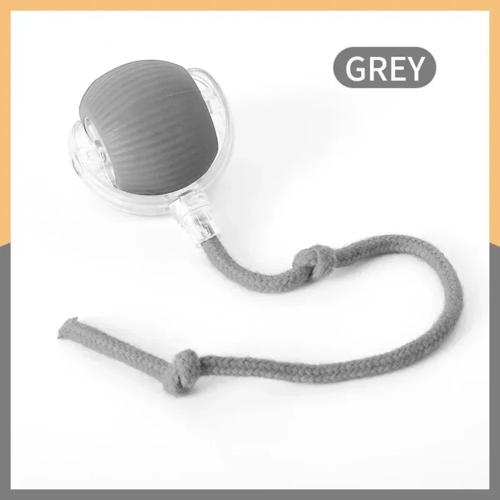 Automatic Rolling Ball Toy for Cats